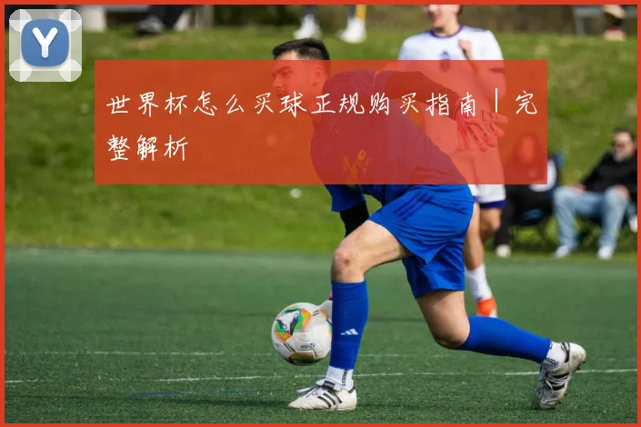 世界杯怎么买球正规购买指南｜完整解析