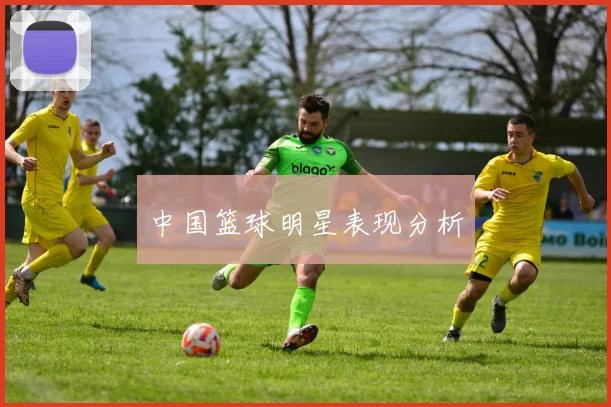 中国篮球明星表现分析