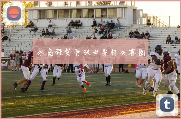 冰岛强势晋级世界杯决赛圈
