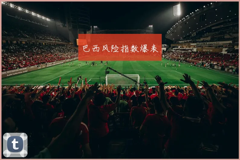 巴西风险指数爆表