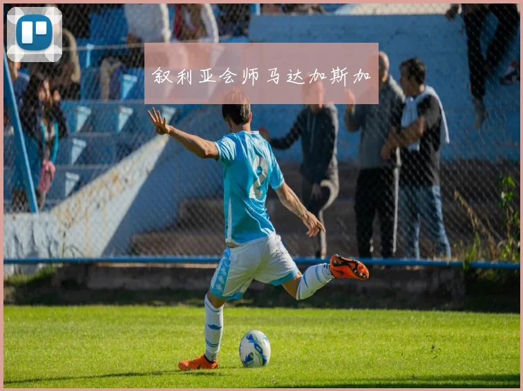 叙利亚会师马达加斯加